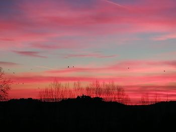 Silhouette of birds flying against orange sky