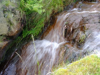 Scenic view of waterfall