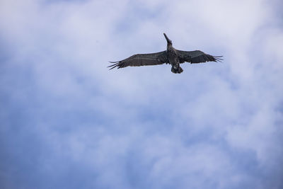 flying