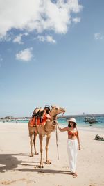 Full length of horse on beach