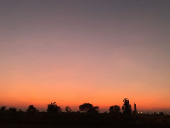 Silhouette trees against orange sky