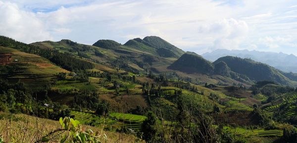 Landscape with mountain range in background