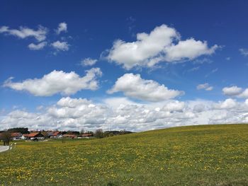 Scenic view of field against blue sky