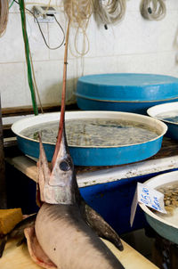Close-up of fish for sale in market
