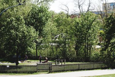 People sitting on bench in park