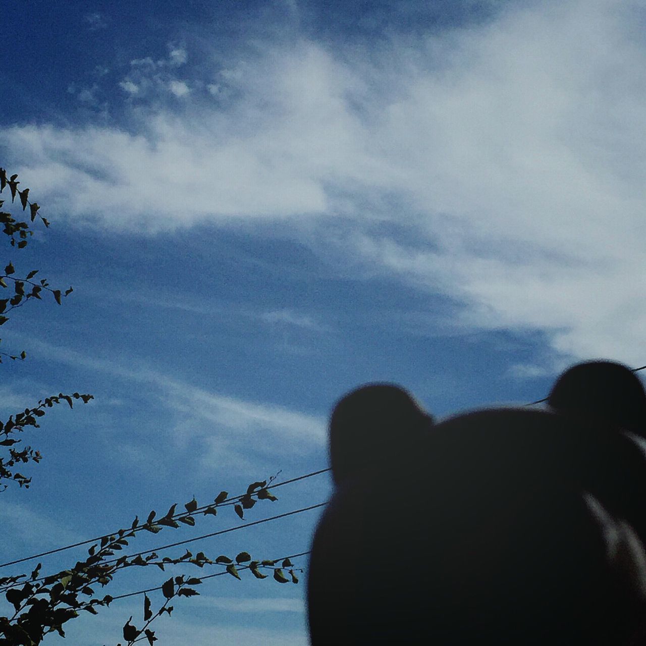 silhouette, sky, low angle view, tree, cloud, blue, day, tranquility, nature, scenics, beauty in nature, tranquil scene, cloud - sky, high section, outdoors, outline, solitude, remote