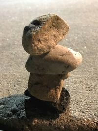Close-up of crab on sand at beach