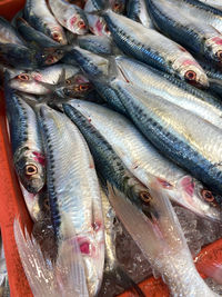 Full frame shot of fish for sale in market