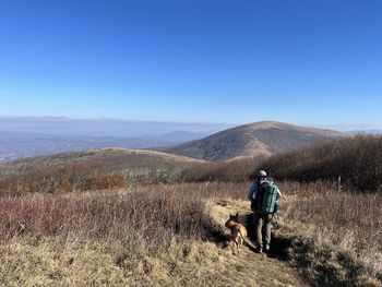 wilderness