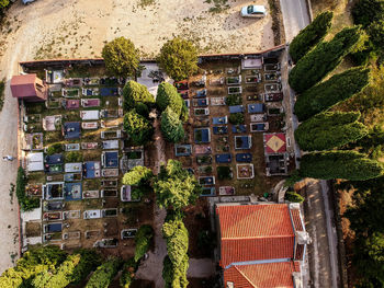 High angle view of trees and buildings in town