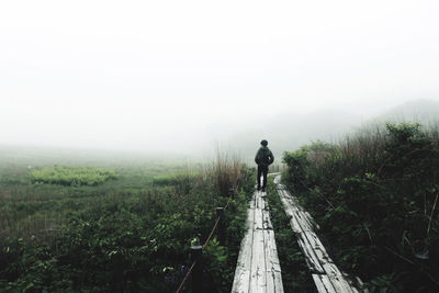 Rear view of man walking on landscape against sky