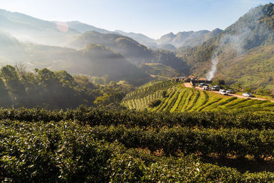 Scenic view of agricultural field against sky