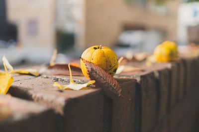 Close-up of yellow fruit on dry leaves