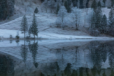 Scenic view of lake in forest during winter