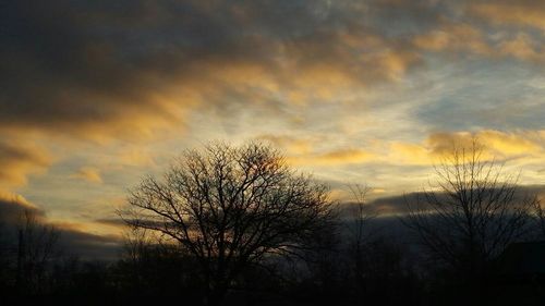 Low angle view of silhouette trees against sky at sunset