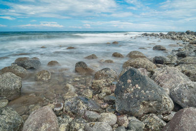 Scenic view of sea shore against sky