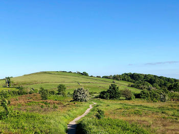 Scenic view of landscape against clear blue sky