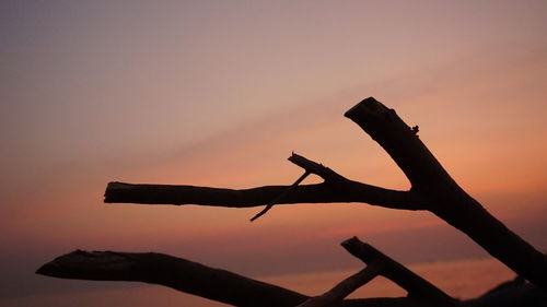 Close-up of silhouette wooden post against sky during sunset