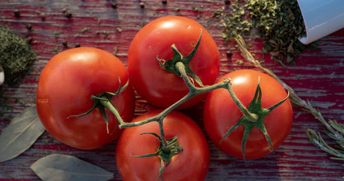 Vine tomatoes and dried herbs and spices in kitchen food preparation still life