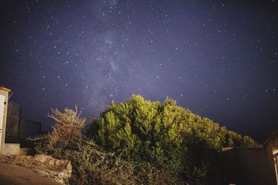 Low angle view of stars in sky