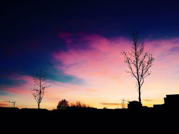 Silhouette of trees at sunset