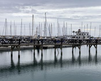 Sailboats moored at harbor