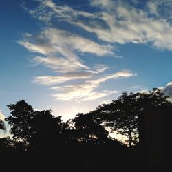 Low angle view of silhouette trees against sky