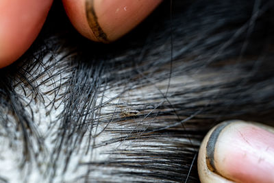 Close-up of human hand