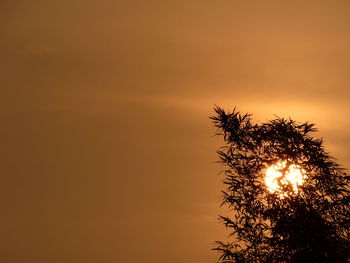 Low angle view of silhouette tree against orange sky