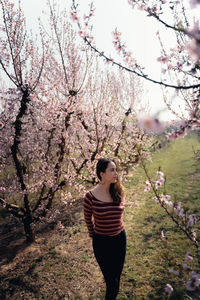 Full length of beautiful young woman standing by cherry blossom tree