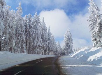 Road amidst trees against sky during winter