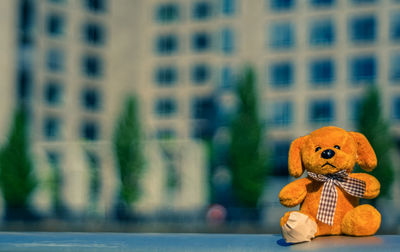 Close-up of pumpkin against blurred background