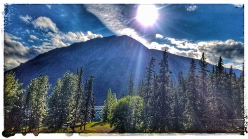 Panoramic view of trees on landscape against sky