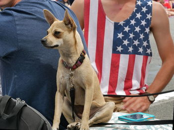 Midsection of man with dog sitting outdoors