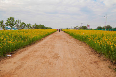 View of dirt road passing through field
