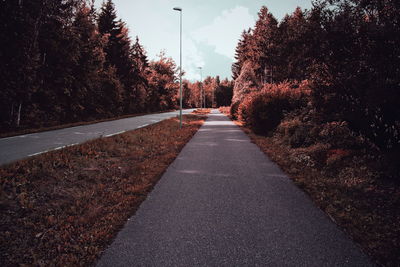 Road amidst autumn trees against sky