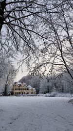 Snow covered houses and trees by building