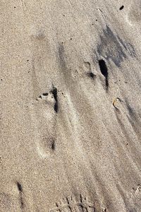 High angle view of footprints on sand