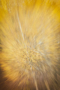 Full frame shot of yellow abstract background