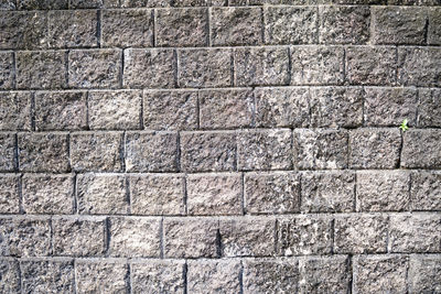 Full frame shot of stone wall