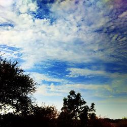 Low angle view of trees against cloudy sky