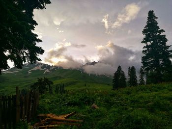 Scenic view of trees and mountains against sky