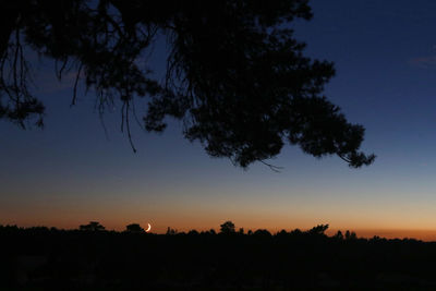 Silhouette trees against clear sky at sunset