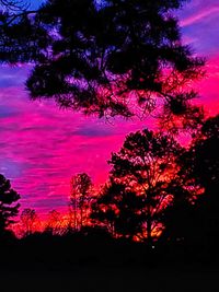 Low angle view of silhouette trees against sky during sunset