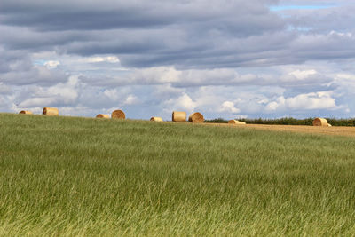 Hay bales on field against sky