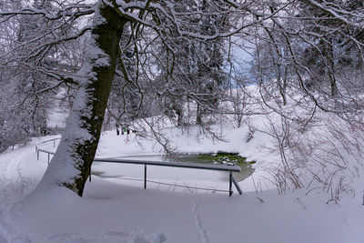 Snow covered land and trees on field during winter