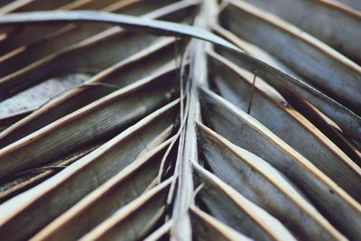 Full frame shot of metal plant