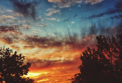 Low angle view of silhouette trees against orange sky