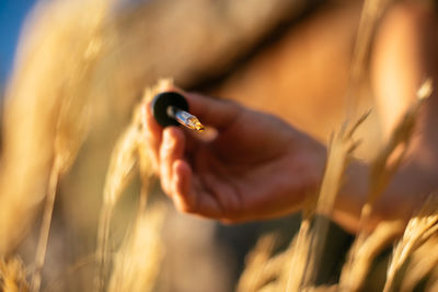 Cropped hand holding pipette over plants