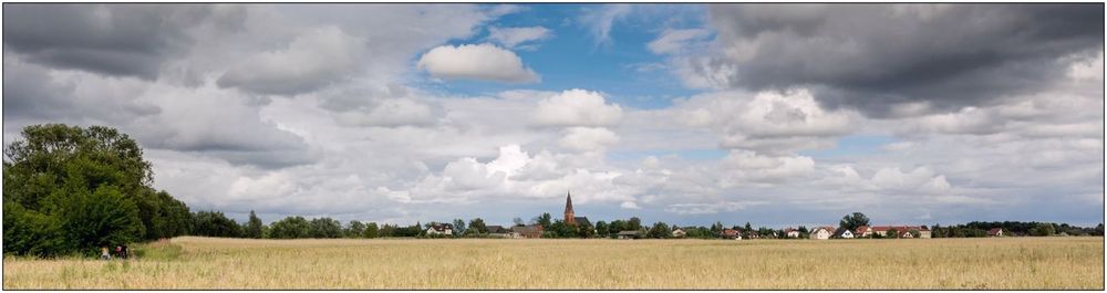 Panoramic view of trees on field against sky